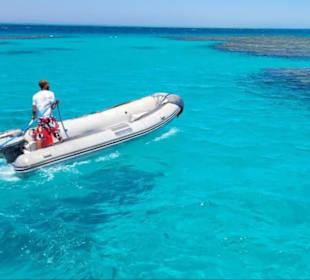Delfinschwimmen Hurghada mit Joseph&Marlen