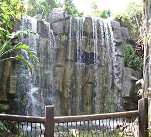 Wasserfall im Dschungel