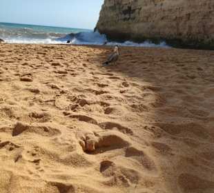 Praia de Nossa Senhora da Rocha