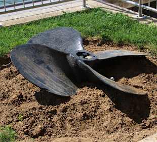 Hier wachsen Schiffsschrauben