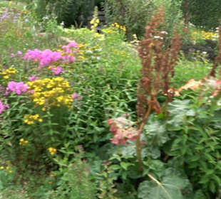 ALB-GOLD Naturgarten