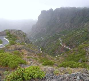 Der "Weg" zur Mascaschlucht von Süden aus