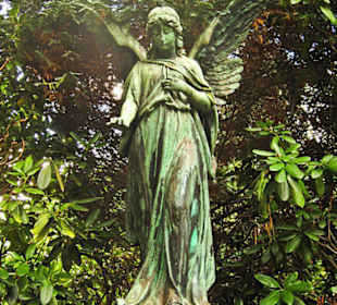 Кладбище Ольсдорф, Гамбург, 16 сентября 2013 года