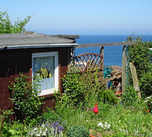 Rundgang durch die Schrebergarten-Kolonie