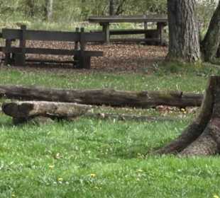 Wanderweg Hochgehswiggert
