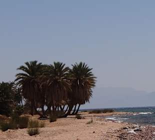 Dzika plaża za hotelem Happy Life Village