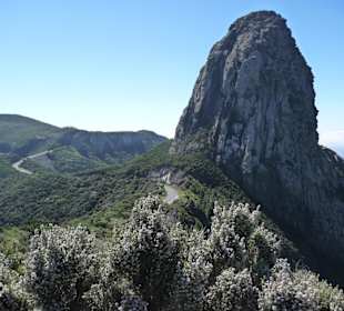 Roque de Agando