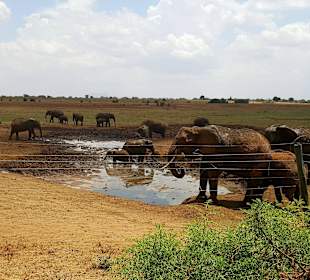 Aus der Ashnil Aruba Lodge