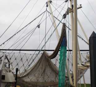 Der Hafen von Fedderwardersiel