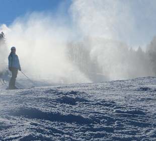 Skigebiet 4-berge-Skischaukel