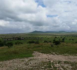 Sarova Salt Lick Game Lodge