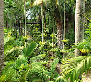 Noong Nooch Village Garden und Resort