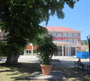 Niederbronn les Bains