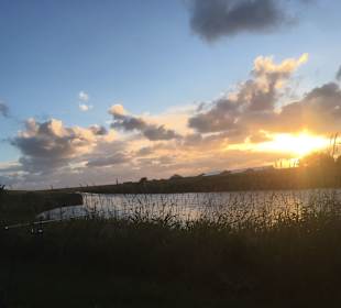 Wandern Emmelsbüll-Horsbüll