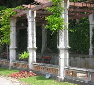 Particolare del pergolato