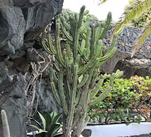 Museum Fundación César Manrique