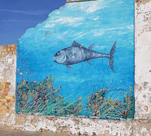 Wandern Novo Sancti Petri