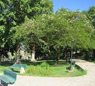 Schöne Gartenanlage