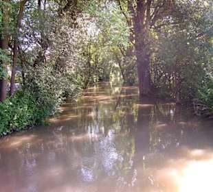 Romantischer Mühlbach