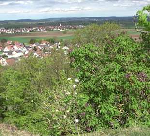 Wallersteiner Felsen