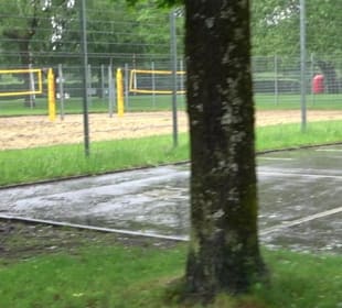 Wanderung rund um den Stadtsee