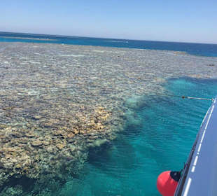 Eines der beiden Korallenriffe