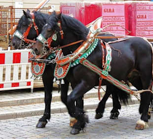 In der malerischen Altstadt von Cham / Oberpfalz.