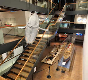 Zwischen den Decks des IMM