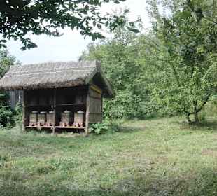 Bienenstöcke etwas abseits des eigentlichen Wegs