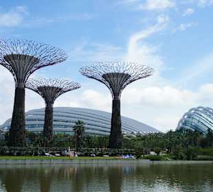 Gardens by the Bay