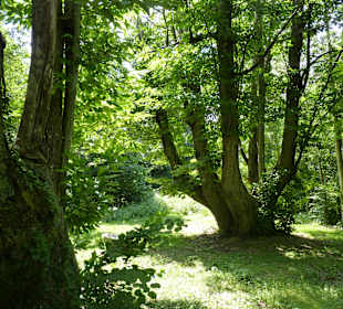 Parque Natural El Montseny
