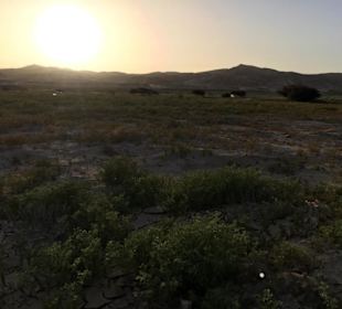 Wüstentouren & Wüstensafari in Marsa Alam