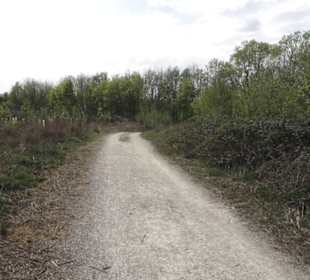 Wanderweg Firstwaldrunde