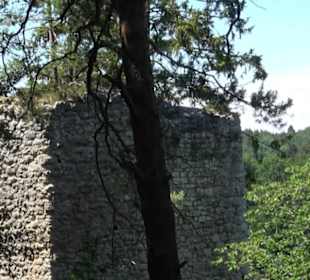 Burg Hohenerpfingen Erpfingen