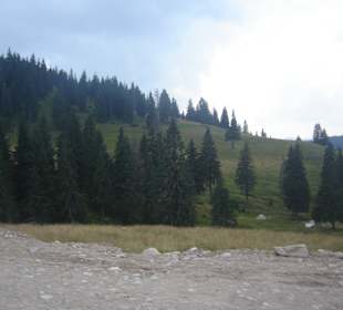 Parcul Natural Apuseni