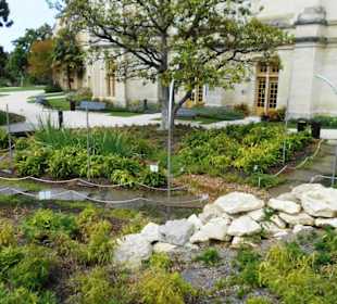 Jérôme Cuzin Centre