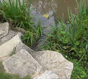 Sonnenaufgangs-Rundwanderung Rübgarten