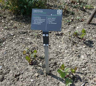 Kräuter Hinweistafel