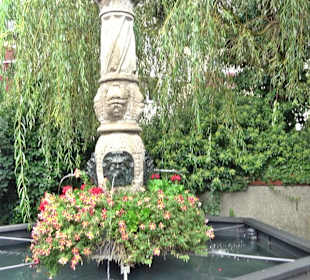 Erbiskasten Brunnen Ulm