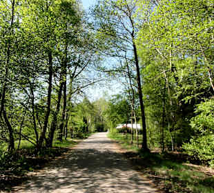 Zugang zum Oyter See