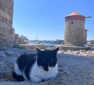 Windmühlen von Rhodos 