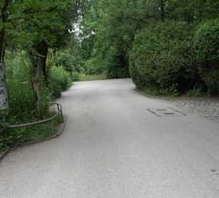 Tierpark Hellabrunn - Welt der Affen