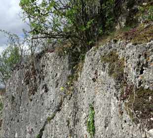 Wallersteiner Felsen