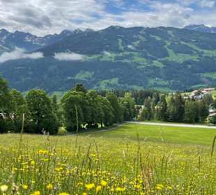 Panoramablick in Richtung Schladminger Tauern
