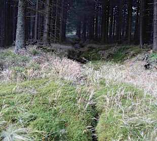 Riesengebirge/Karkonosze