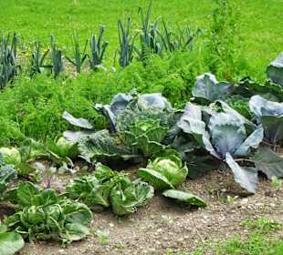 Rundgang durch das Bauernhausmuseum Amerang