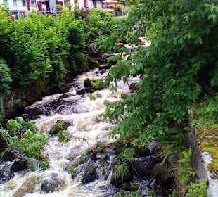 Triberger Wasserfälle in Triberg