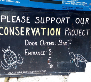 Mnarani Marine Schildkröten Conservation