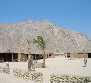 Besichtigung vom Beduinen Dorf