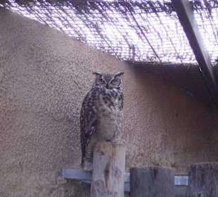 zum Fürchten *grins*